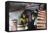 Buddha Statues in Cave 2-Christian Kober-Framed Stretched Canvas