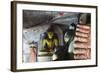 Buddha Statues in Cave 2-Christian Kober-Framed Photographic Print