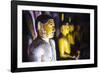 Buddha Statues in Cave 4 (Western Cave)-Matthew Williams-Ellis-Framed Photographic Print