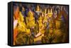 Buddha Statues in Entrance to Shwe Oo Min Natural Cave Pagoda, Pindaya, Myanmar (Burma), Asia-Christian Kober-Framed Stretched Canvas