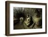 Buddha statues in the underground corridors of Htukkanthein temple, Mrauk U, Rakhine, Myanmar-Brian Graney-Framed Photographic Print