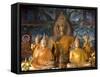 Buddha Statues, Wat Aham, Luang Prabang, Laos, Indochina, Southeast Asia, Asia-Richard Maschmeyer-Framed Stretched Canvas