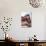 Buddha Tooth Relic Temple, Chinatown, Singapore, Southeast Asia, Asia-Fraser Hall-Photographic Print displayed on a wall