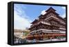 Buddha Tooth Relic Temple, Chinatown, Singapore, Southeast Asia, Asia-Fraser Hall-Framed Stretched Canvas