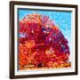 Buddha Tree-Mandy Budan-Framed Giclee Print