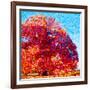 Buddha Tree-Mandy Budan-Framed Giclee Print