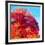 Buddha Tree-Mandy Budan-Framed Giclee Print