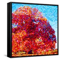 Buddha Tree-Mandy Budan-Framed Stretched Canvas