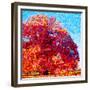 Buddha Tree-Mandy Budan-Framed Giclee Print