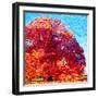 Buddha Tree-Mandy Budan-Framed Giclee Print