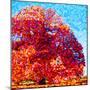 Buddha Tree-Mandy Budan-Mounted Premium Giclee Print