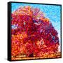 Buddha Tree-Mandy Budan-Framed Stretched Canvas