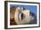 Buddha Win Sein, the Longest Reclining Buddha in the World, Mawlamyine (Moulmein)-Nathalie Cuvelier-Framed Photographic Print