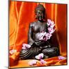 Buddha with Flowers-Stephane De Bourgies-Mounted Art Print