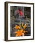 Buddha with Red Scarf and Fresh Flowers, Daisho in Temple, Miyajima, Honshu, Japan-Simanor Eitan-Framed Photographic Print