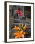 Buddha with Red Scarf and Fresh Flowers, Daisho in Temple, Miyajima, Honshu, Japan-Simanor Eitan-Framed Photographic Print