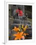 Buddha with Red Scarf and Fresh Flowers, Daisho in Temple, Miyajima, Honshu, Japan-Simanor Eitan-Framed Photographic Print