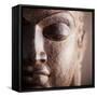 Buddha-null-Framed Stretched Canvas