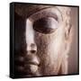 Buddha-null-Framed Stretched Canvas