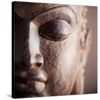 Buddha-null-Stretched Canvas