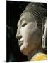 Buddha-null-Mounted Photographic Print