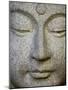Buddha-null-Mounted Photographic Print