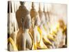 Buddhas at Wat Si Saket, the Oldest Temple in Vientiane, Laos, Indochina, Southeast Asia, Asia-Matthew Williams-Ellis-Stretched Canvas