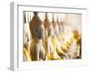 Buddhas at Wat Si Saket, the Oldest Temple in Vientiane, Laos, Indochina, Southeast Asia, Asia-Matthew Williams-Ellis-Framed Photographic Print