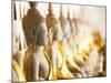 Buddhas at Wat Si Saket, the Oldest Temple in Vientiane, Laos, Indochina, Southeast Asia, Asia-Matthew Williams-Ellis-Mounted Photographic Print