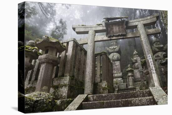 Buddhist Cemetery of Oku-No-In, Koyasan (Koya-San), Kansai, Japan-Stuart Black-Stretched Canvas