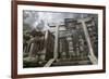 Buddhist Cemetery of Oku-No-In, Koyasan (Koya-San), Kansai, Japan-Stuart Black-Framed Photographic Print