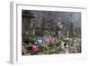 Buddhist Cemetery of Oku-No-In, Koyasan (Koya-San), Kansai, Japan-Stuart Black-Framed Photographic Print