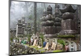 Buddhist Cemetery of Oku-No-In, Koyasan (Koya-San), Kansai, Japan-Stuart Black-Mounted Photographic Print