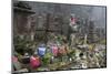 Buddhist Cemetery of Oku-No-In, Koyasan (Koya-San), Kansai, Japan-Stuart Black-Mounted Photographic Print