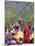 Buddhist Festival (Tsechu), Haa Valley, Bhutan-Angelo Cavalli-Mounted Photographic Print