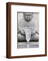 Buddhist fountain, Bongeunsa temple, Seoul, South Korea-Godong-Framed Photographic Print