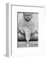 Buddhist fountain, Bongeunsa temple, Seoul, South Korea-Godong-Framed Photographic Print