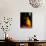 Buddhist Monk at Morning Prayer, Marble Temple, Bangkok, Thailand-Paul Souders-Stretched Canvas displayed on a wall