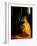 Buddhist Monk at Morning Prayer, Marble Temple, Bangkok, Thailand-Paul Souders-Framed Photographic Print