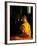 Buddhist Monk at Morning Prayer, Marble Temple, Bangkok, Thailand-Paul Souders-Framed Photographic Print