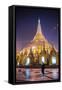 Buddhist Monk at Shwedagon Pagoda (Shwedagon Zedi Daw) (Golden Pagoda) at Night, Myanmar (Burma)-Matthew Williams-Ellis-Framed Stretched Canvas