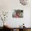 Buddhist Monk Burning Incense, Sey Lhakhang Temple, Bumthang, Bhutan,Asia-Angelo Cavalli-Photographic Print displayed on a wall