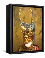 Buddhist Monk in His Colourful Costume and Antelope Mask Waiting During Gangtey Tsechu at Gangte Go-Lee Frost-Framed Stretched Canvas