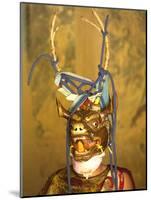 Buddhist Monk in His Colourful Costume and Antelope Mask Waiting During Gangtey Tsechu at Gangte Go-Lee Frost-Mounted Photographic Print