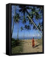 Buddhist Monk Looking up at Palm Trees Between Unawatuna and Weligama, Sri Lanka-Yadid Levy-Framed Stretched Canvas