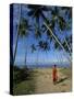 Buddhist Monk Looking up at Palm Trees Between Unawatuna and Weligama, Sri Lanka-Yadid Levy-Stretched Canvas