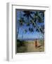 Buddhist Monk Looking up at Palm Trees Between Unawatuna and Weligama, Sri Lanka-Yadid Levy-Framed Photographic Print