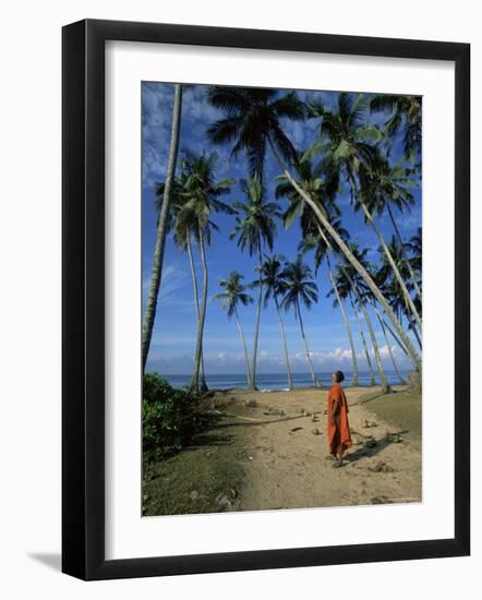 Buddhist Monk Looking up at Palm Trees Between Unawatuna and Weligama, Sri Lanka-Yadid Levy-Framed Photographic Print