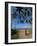 Buddhist Monk Looking up at Palm Trees Between Unawatuna and Weligama, Sri Lanka-Yadid Levy-Framed Photographic Print