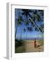 Buddhist Monk Looking up at Palm Trees Between Unawatuna and Weligama, Sri Lanka-Yadid Levy-Framed Photographic Print